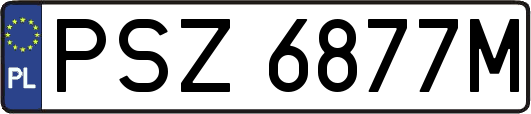 PSZ6877M
