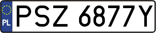 PSZ6877Y