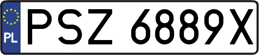 PSZ6889X