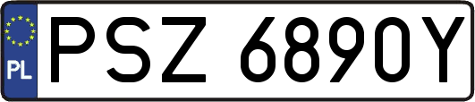 PSZ6890Y