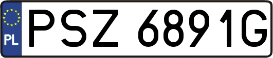 PSZ6891G