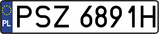 PSZ6891H