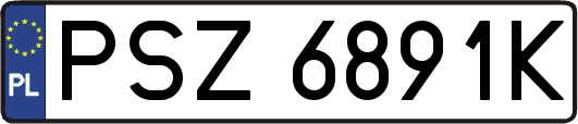 PSZ6891K
