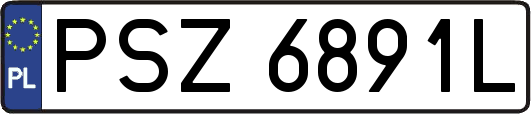 PSZ6891L