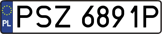 PSZ6891P