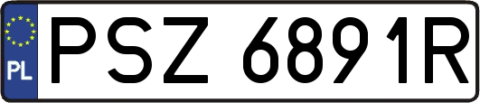 PSZ6891R