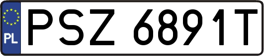 PSZ6891T