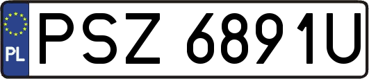 PSZ6891U