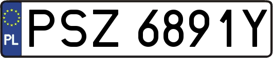 PSZ6891Y
