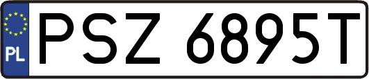 PSZ6895T