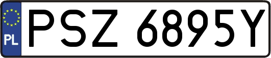 PSZ6895Y
