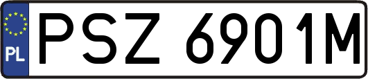 PSZ6901M