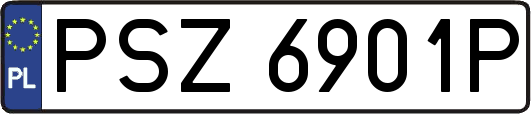 PSZ6901P
