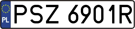 PSZ6901R