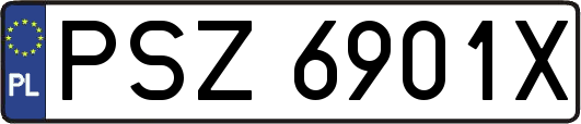 PSZ6901X