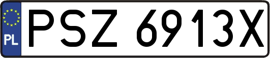 PSZ6913X