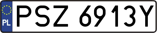 PSZ6913Y