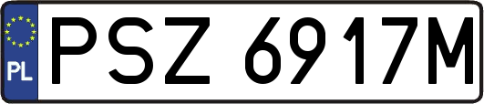 PSZ6917M