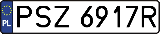 PSZ6917R