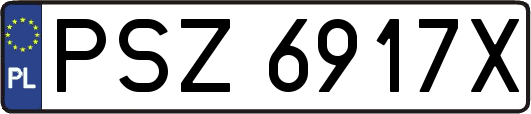 PSZ6917X