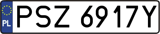 PSZ6917Y