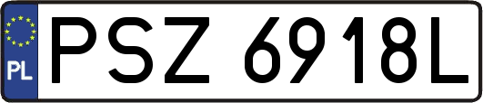 PSZ6918L