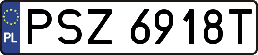 PSZ6918T