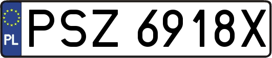 PSZ6918X