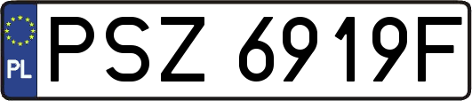 PSZ6919F