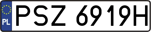 PSZ6919H