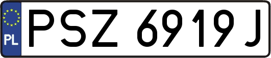 PSZ6919J