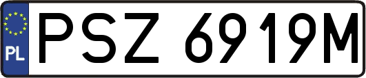 PSZ6919M