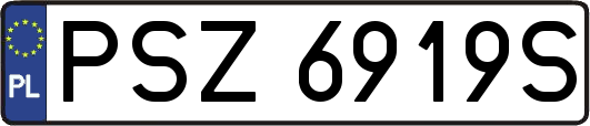 PSZ6919S