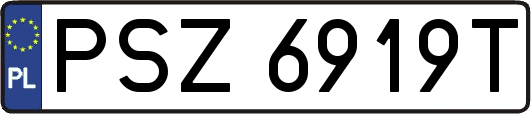 PSZ6919T