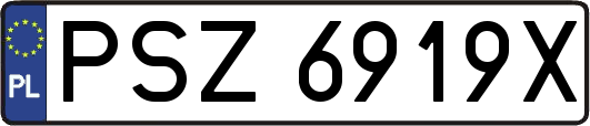 PSZ6919X