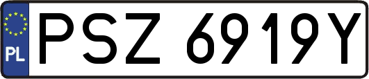 PSZ6919Y