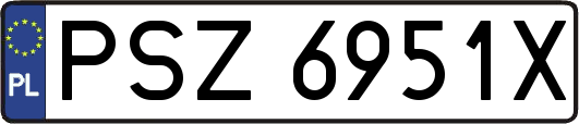 PSZ6951X