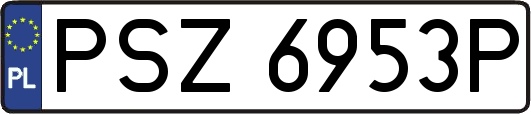 PSZ6953P