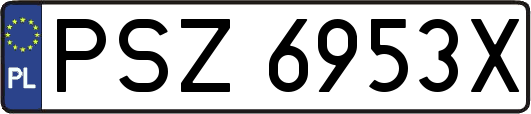 PSZ6953X