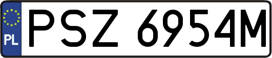 PSZ6954M
