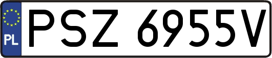 PSZ6955V