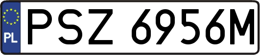 PSZ6956M