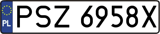 PSZ6958X