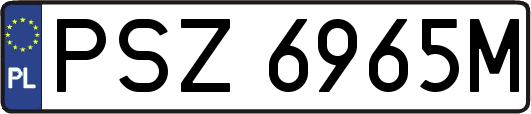 PSZ6965M