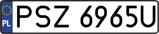 PSZ6965U