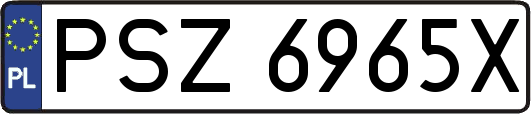 PSZ6965X