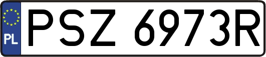 PSZ6973R