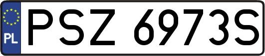 PSZ6973S