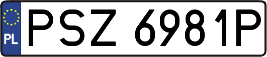 PSZ6981P