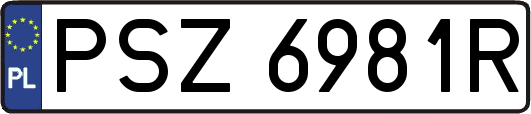 PSZ6981R